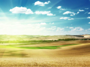 南方空調(diào)泵應用范圍