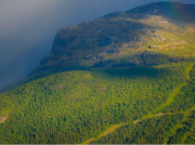 南方泵業(yè):不銹鋼泵市場正在啟動(dòng)